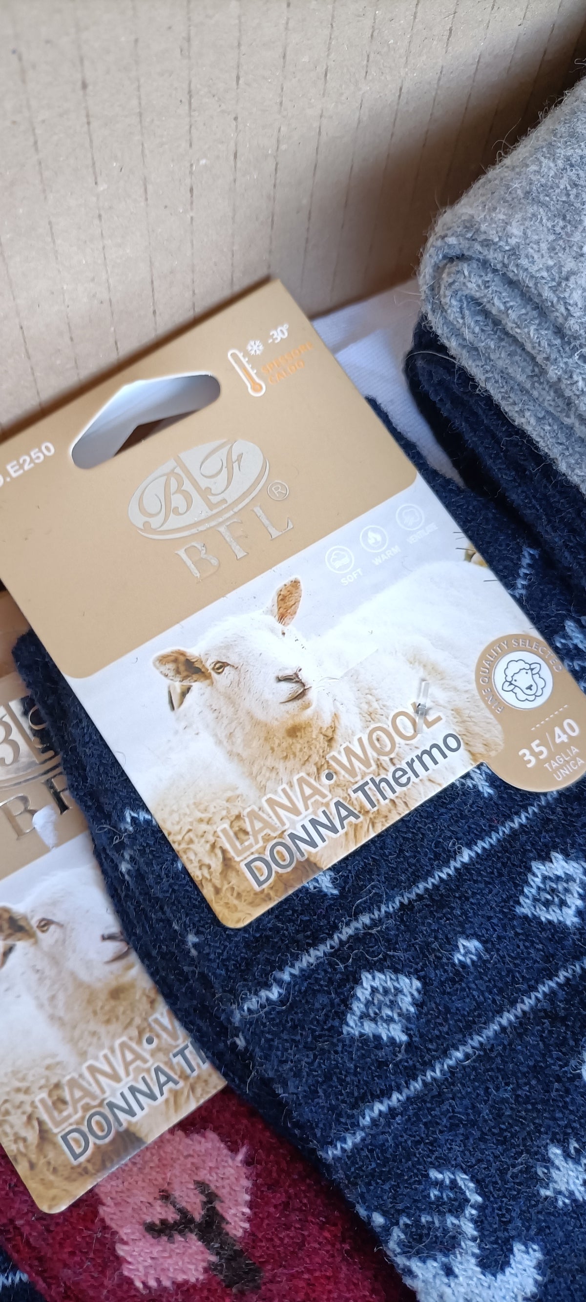 Lotto Calzetteria Mista Uomo/Donna Brand Assortiti - Scatola G23 (196 pz) - SPEDIZIONE GRATUITA